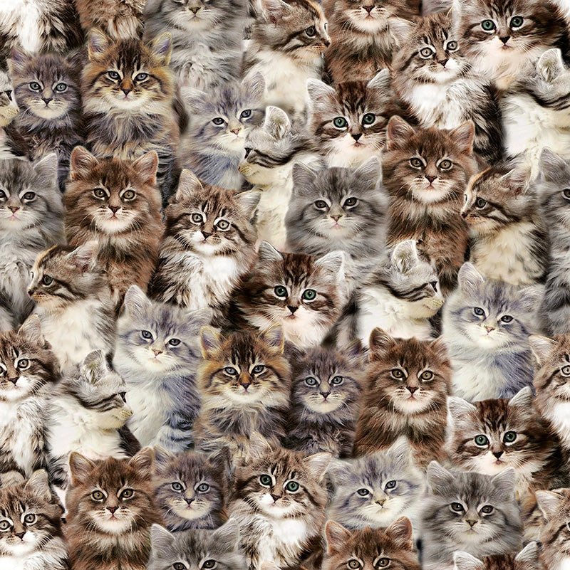 One of a Kind Kittens Multi - Windham from Fort Worth Fabric Studio