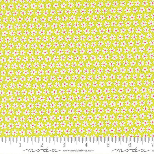 Pick Me! Pocket of Posies Lime - Moda from Fort Worth Fabric Studio