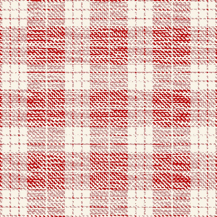 Pieces of America Plaid Ruby - Studio E from Fort Worth Fabric Studio