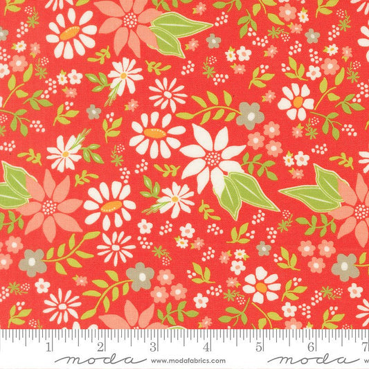 Poinsettia & Pear Poinsettia Florals Geranium - Moda from Fort Worth Fabric Studio