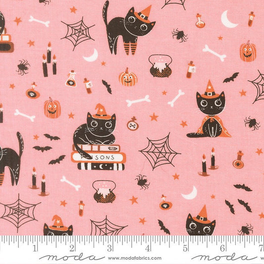 Purrs & Boos Cats Candy - Moda from Fort Worth Fabric Studio