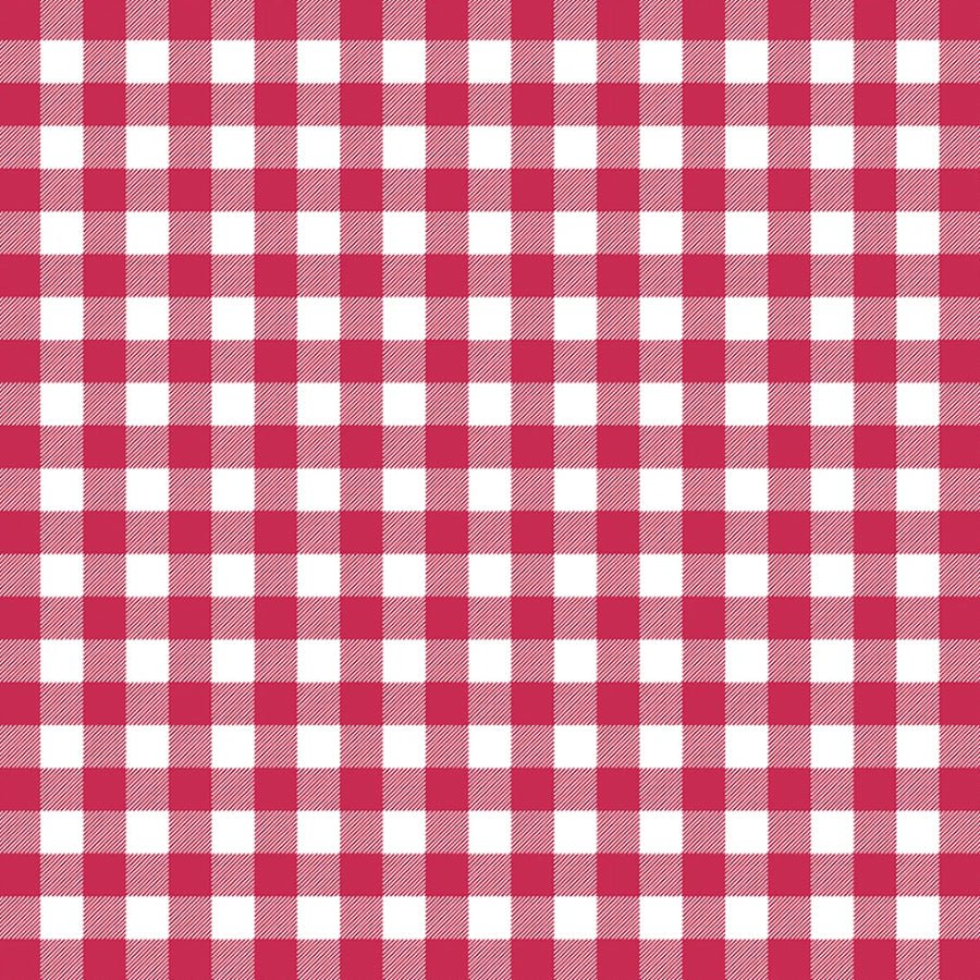 Red, White, & Blueberry Mono Check Red/White - Studio E from Fort Worth Fabric Studio