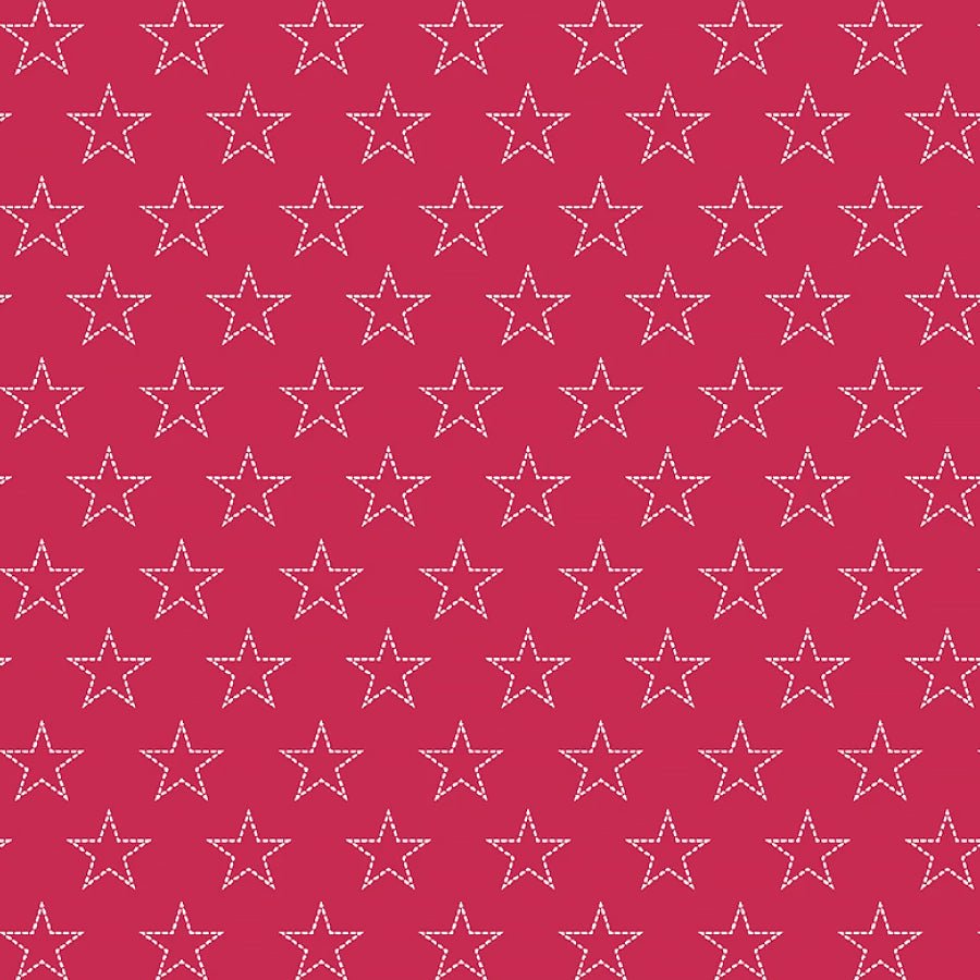 Red, White, & Blueberry Stitchy Stars Red - Studio E from Fort Worth Fabric Studio