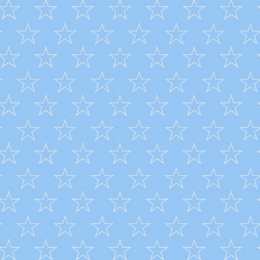Red, White, & Blueberry Stitchy Stars Sky - Studio E from Fort Worth Fabric Studio