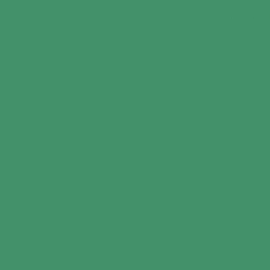 Ruby & Bee Solids Agave - Windham from Fort Worth Fabric Studio