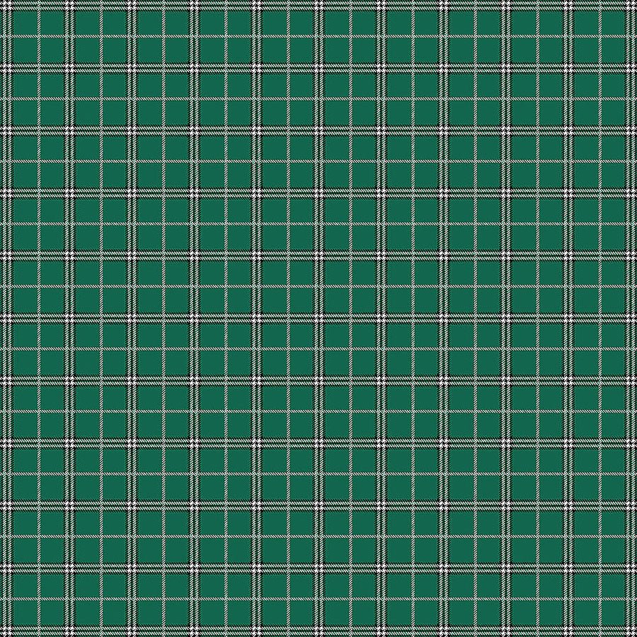 Rudolph The Red - Nosed Reindeer Plaid Spruce - Northcott from Fort Worth Fabric Studio