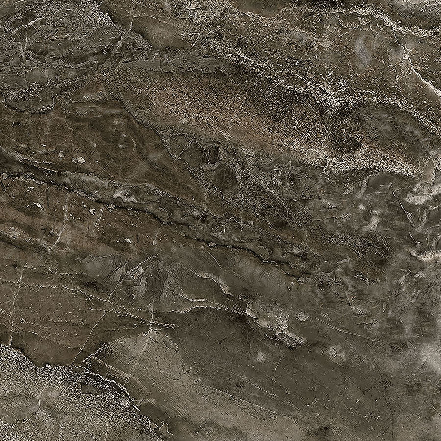 Running Free Granite Dark Brown - Northcott from Fort Worth Fabric Studio