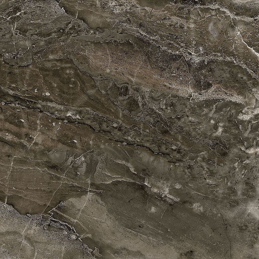Running Free Granite Dark Brown – Remnant 36″ × 44″ - Northcott from Fort Worth Fabric Studio