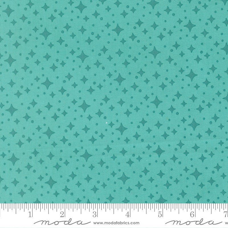 Scenery Starlight Poolside - Moda from Fort Worth Fabric Studio