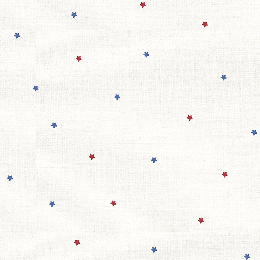 Stars & Stripes Teeny Tiny Stars Patriotic - Studio E from Fort Worth Fabric Studio