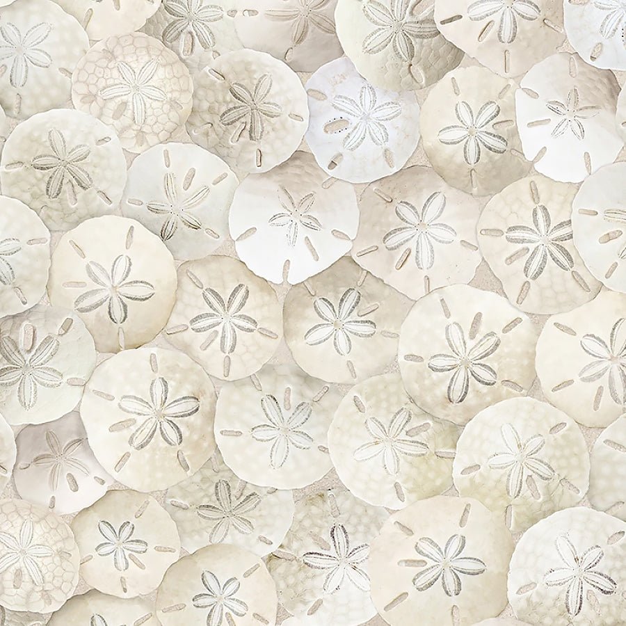 Water's Edge Sand Dollars Sand - Timeless Treasures from Fort Worth Fabric Studio
