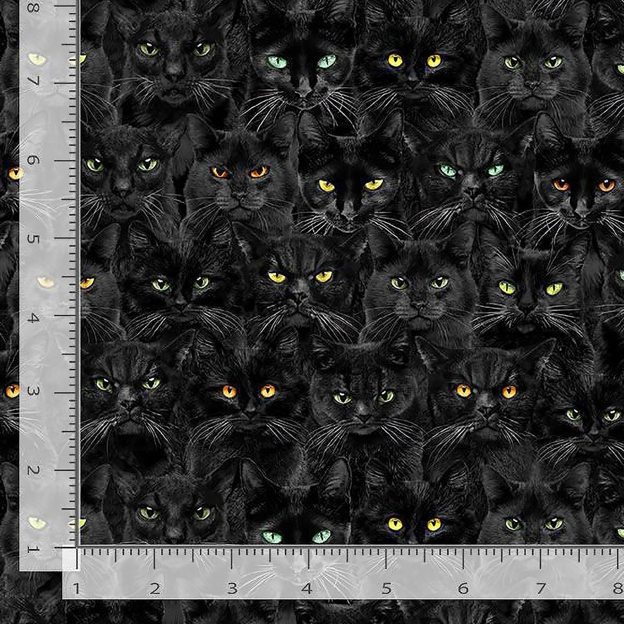 Wicked Willow Cats Glow Eyes Black - Timeless Treasures from Fort Worth Fabric Studio