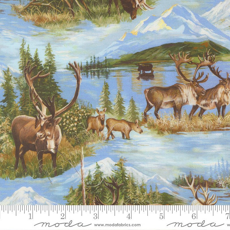 Wild Blue Yonder Wildlife Sky - Moda from Fort Worth Fabric Studio