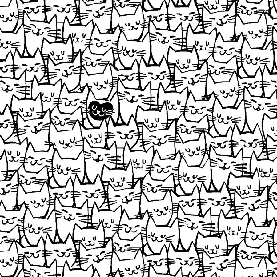108" Wide Quilt Backing Packed Cats White from Windham - Windham from Fort Worth Fabric Studio