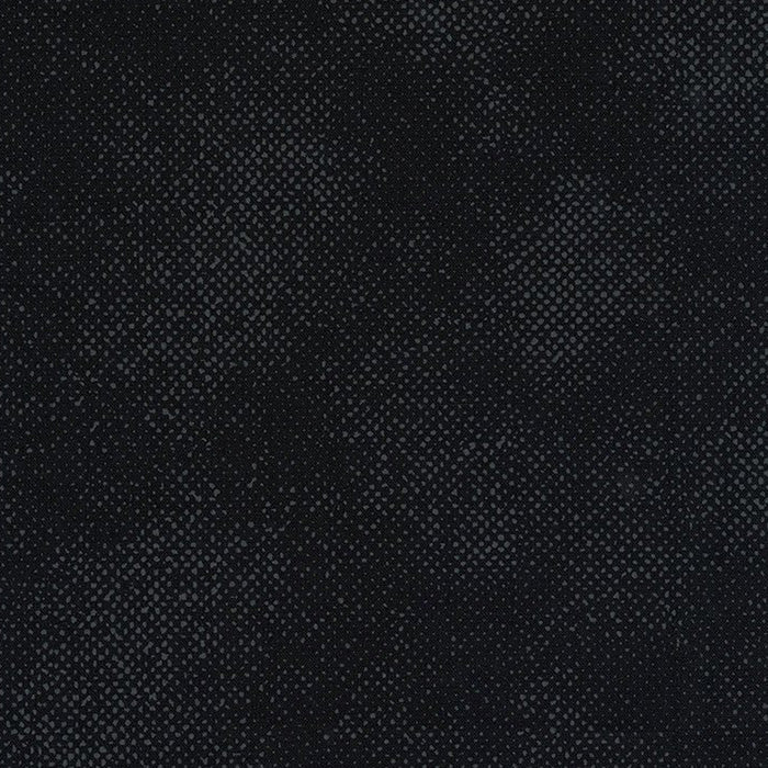 Surface Screen Texture Black - Timeless Treasures from Fort Worth Fabric Studio